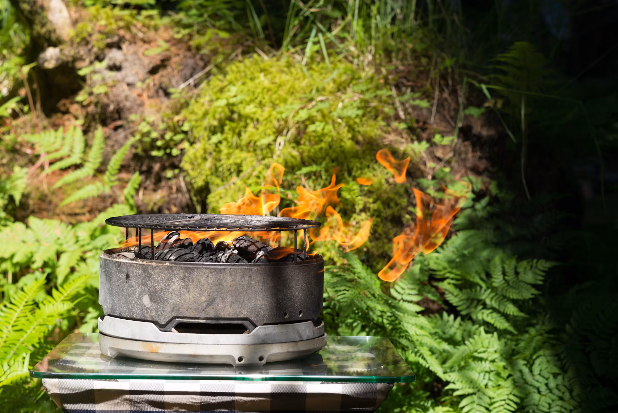 Camping with Friends: The Ultimate Guide to Group Adventures in Nature